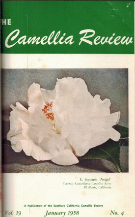 cr/Vol 19/CR-0158